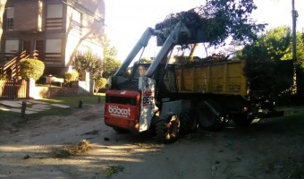 CONTINAN LOS TRABAJOS DE RECOLECCIN DE RESTOS DE PODA EN LA  CIUDAD
